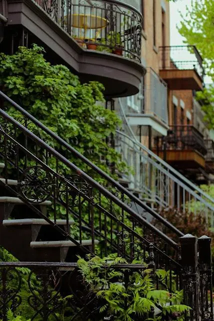 Auberge Pvt Hostel Montréal